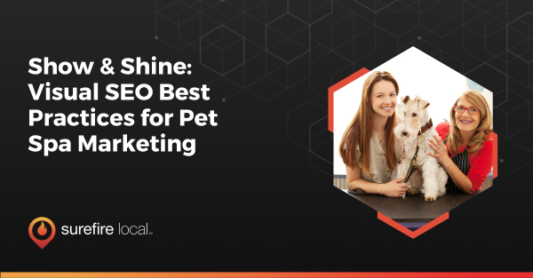 Show & Shine Visual SEO Best Practices for Pet Spa Marketing Show & Shine Visual SEO Best Practices for Pet Spa Marketing